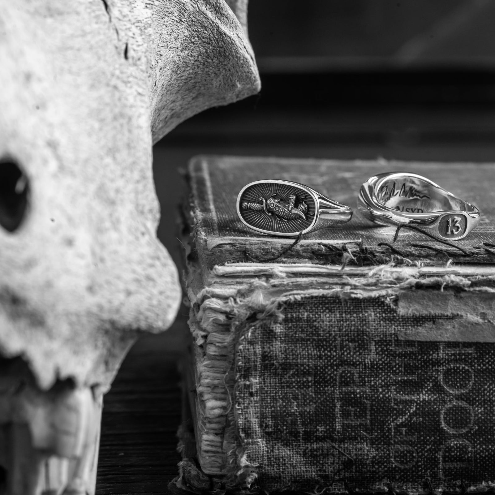 FRIDAY THE 13th ODE - Howlet