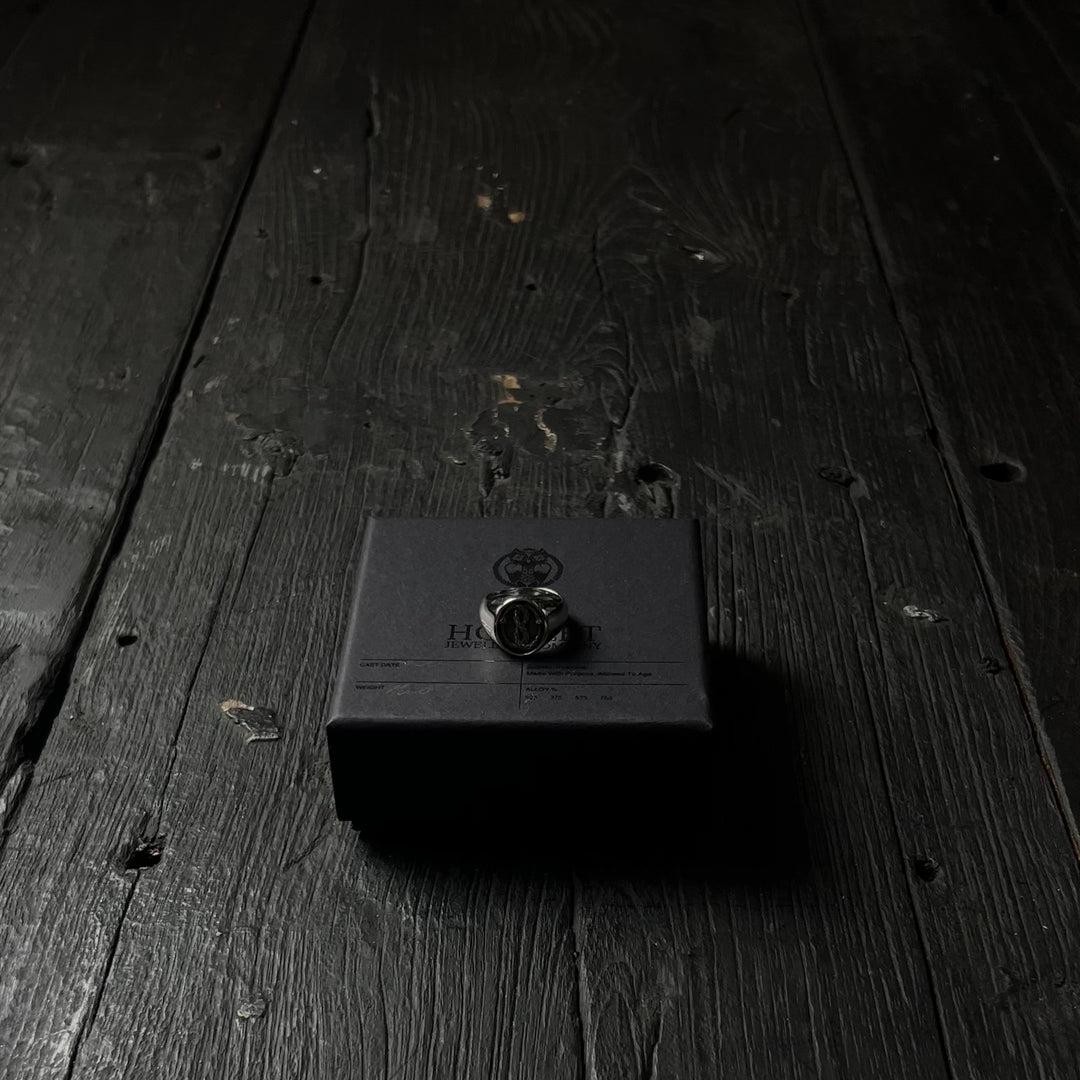 The Silver Ouroboros Ring