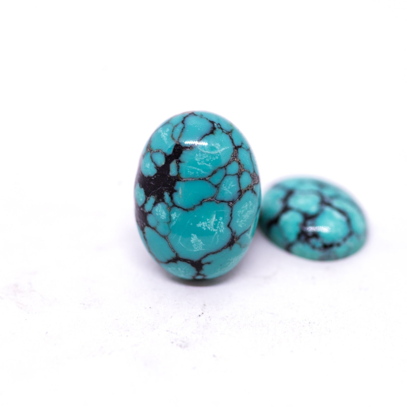 Turquoise - Howlet
