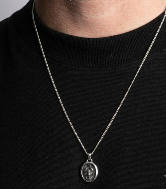 Scorpio Horoscope Pendant