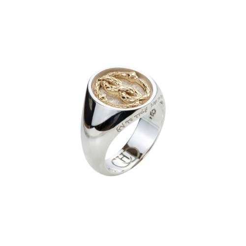 The Gold Ouroboros Ring – Howlet The Gold Ouroboros Ring – Howlet