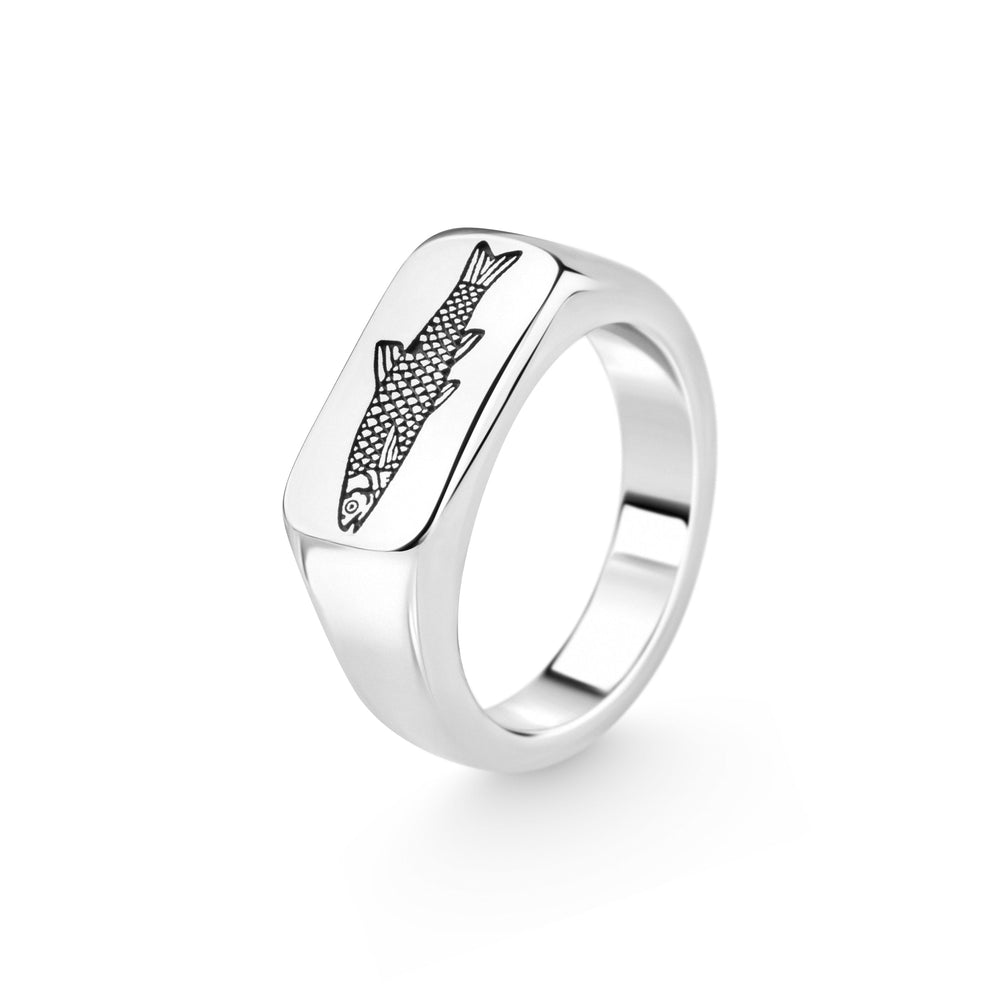 The Silver Shoal | IN STOCK Default Category