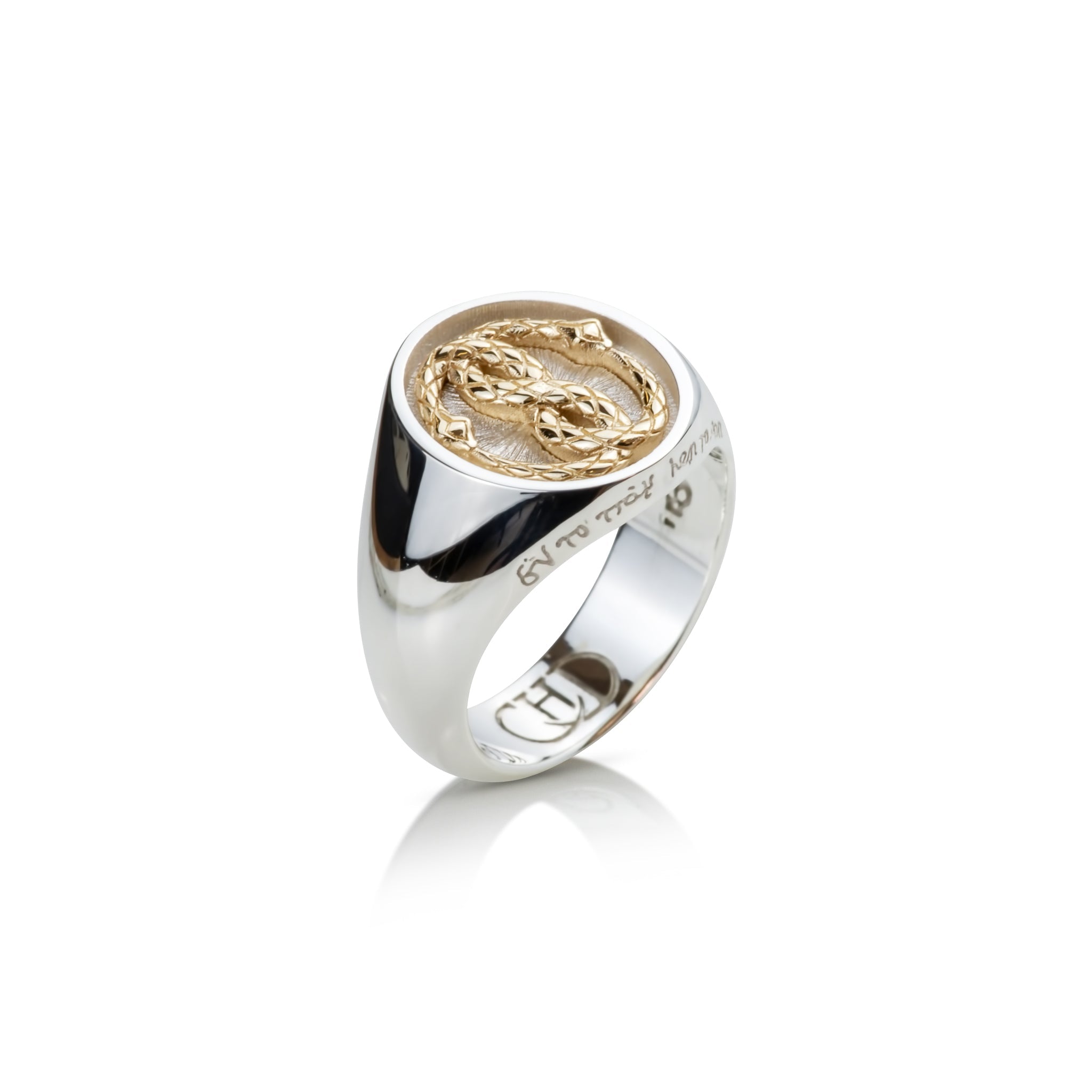 The Gold Ouroboros Ring | IN STOCK Default Category