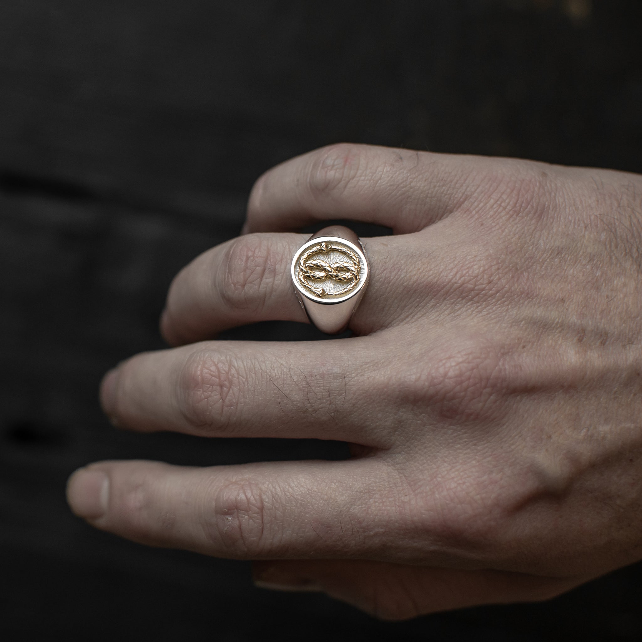 OUROBOROS SIGNET PIERCE GOLD 片耳 OUROBOROS SIGNET PIERCE GOLD – h'eres