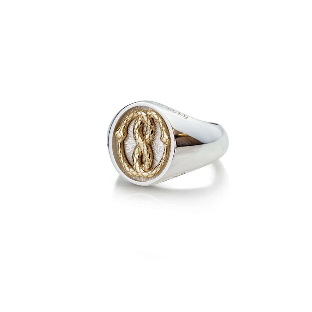 The Gold Ouroboros Ring - Crooked Howlet Designs